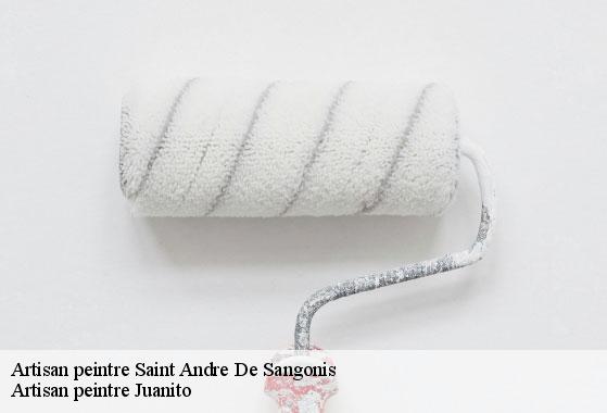 Artisan peintre  saint-andre-de-sangonis-34725 Artisan peintre Juanito