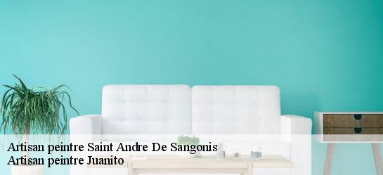 Artisan peintre  34725