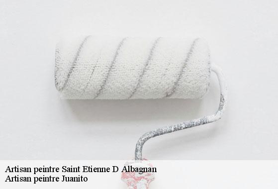 Artisan peintre saint-etienne-d-albagnan-34390 Artisan peintre Juanito