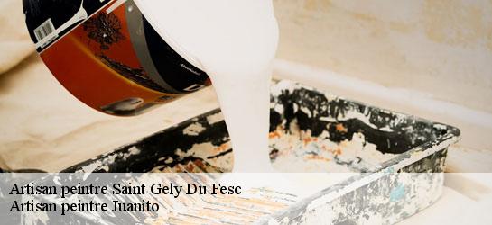 Artisan peintre  34980