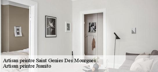 Artisan peintre 34160