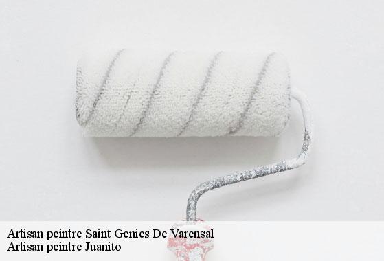 Artisan peintre saint-genies-de-varensal-34610 Artisan peintre Juanito