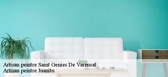 Artisan peintre 34610