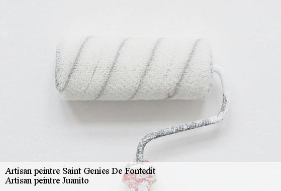 Artisan peintre  saint-genies-de-fontedit-34480 Artisan peintre Juanito