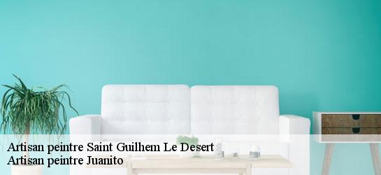 Artisan peintre 34150