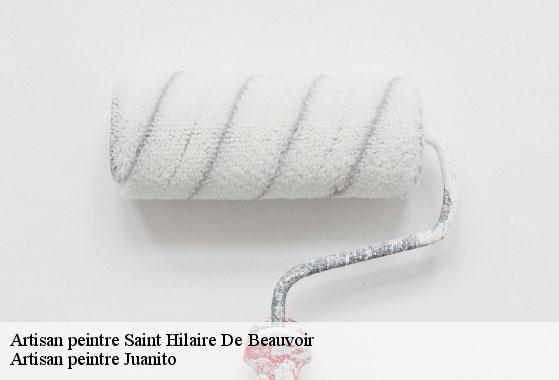 Artisan peintre saint-hilaire-de-beauvoir-34160 Artisan peintre Juanito