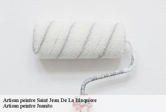 Artisan peintre saint-jean-de-la-blaquiere-34700 Artisan peintre Juanito