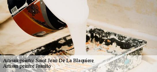 Artisan peintre 34700