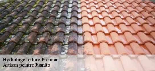 Hydrofuge toiture  34390