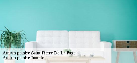 Artisan peintre  34520