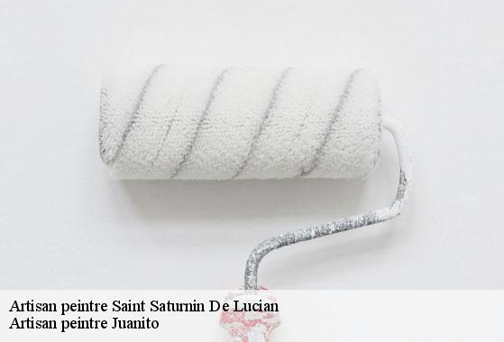Artisan peintre saint-saturnin-de-lucian-34725 Artisan peintre Juanito