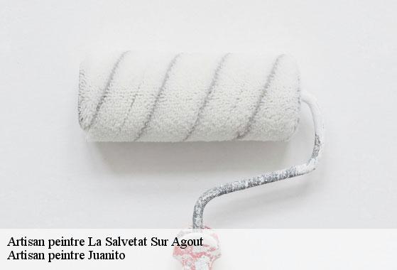 Artisan peintre la-salvetat-sur-agout-34330 Artisan peintre Juanito