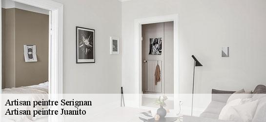 Artisan peintre 34410