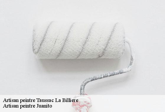 Artisan peintre  taussac-la-billiere-34600 Artisan peintre Juanito