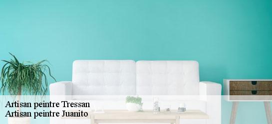 Artisan peintre 34230