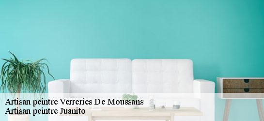 Artisan peintre 34220