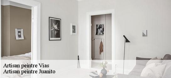 Artisan peintre  34450