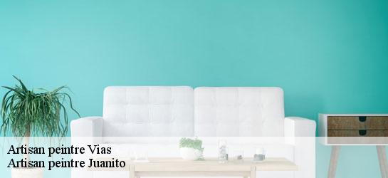 Artisan peintre  34450