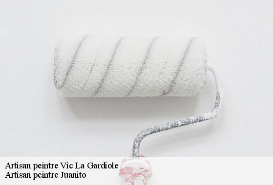 Artisan peintre  vic-la-gardiole-34110 Artisan peintre Juanito