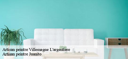Artisan peintre  34600
