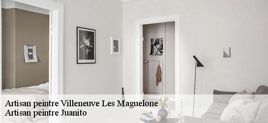 Artisan peintre  34750