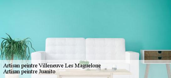 Artisan peintre  34750