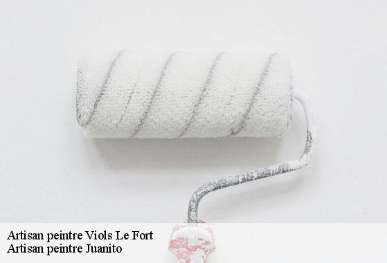 Artisan peintre  viols-le-fort-34380 Artisan peintre Juanito