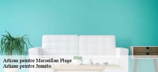 Artisan peintre  34340