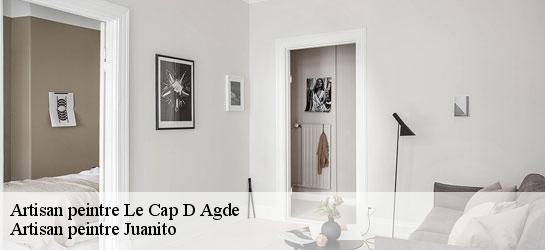 Artisan peintre 34300