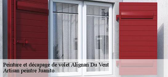 Peinture et décapage de volet  34290