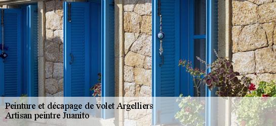 Peinture et décapage de volet 34380