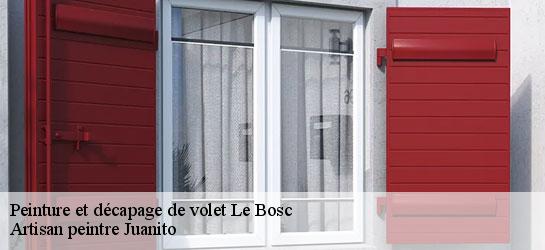 Peinture et décapage de volet  34700