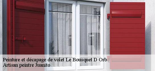 Peinture et décapage de volet  34260