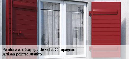 Peinture et décapage de volet 34230