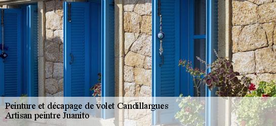 Peinture et décapage de volet 34130