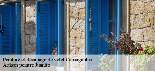 Peinture et décapage de volet 34210