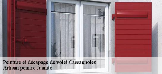 Peinture et décapage de volet 34210