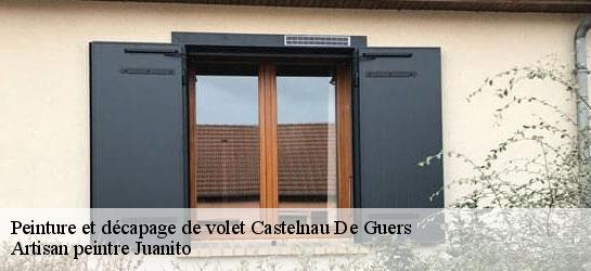 Peinture et décapage de volet 34120