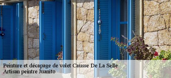 Peinture et décapage de volet  34380