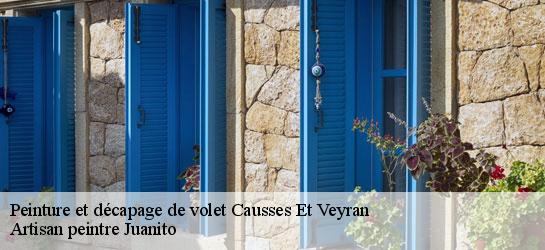 Peinture et décapage de volet  34490