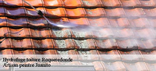 Hydrofuge toiture  34650