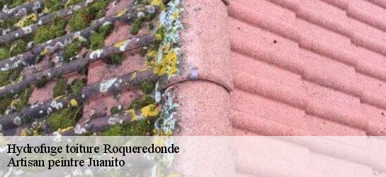 Hydrofuge toiture  34650