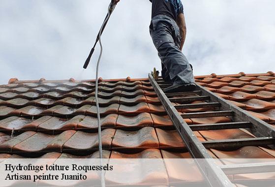 Hydrofuge toiture roquessels-34320 Artisan peintre Juanito