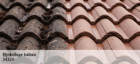 Hydrofuge toiture 34320