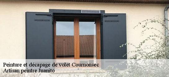 Peinture et décapage de volet  34660