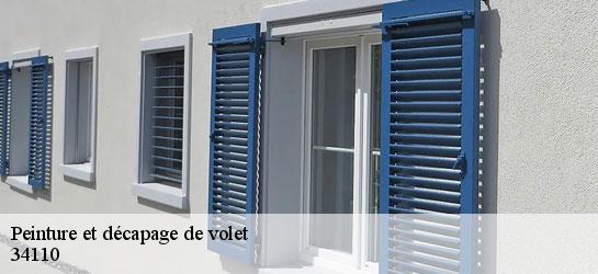 Peinture et décapage de volet  34110