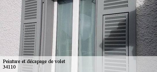Peinture et décapage de volet  34110