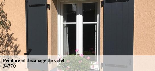 Peinture et décapage de volet 34770