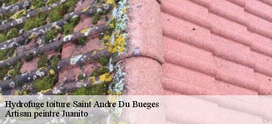 Hydrofuge toiture  34190