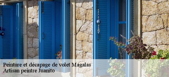 Peinture et décapage de volet  34480